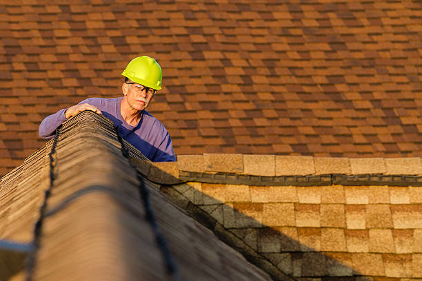 Best Roof Gutter Cleaning  in Stryker, OH
